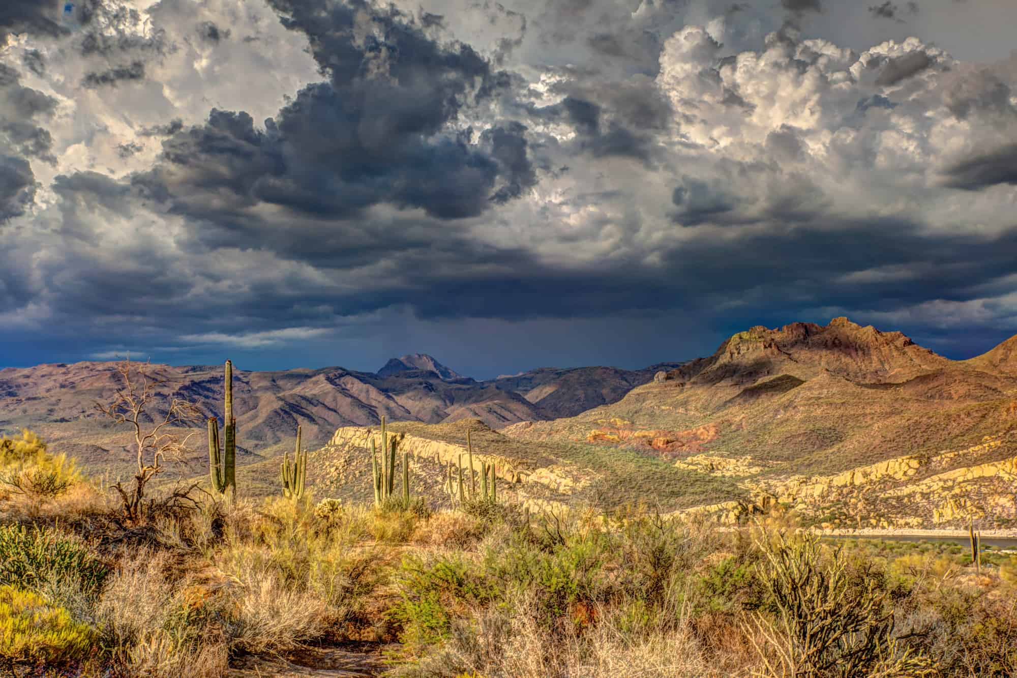 a tucson landscape scene with sunny foreground desert but storm clouds brewing in the sky above