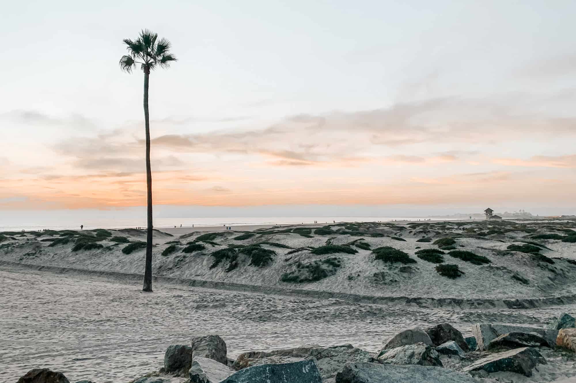 coronado beach at sunset with one lone palm tree, this is the closest beach to tucson located in the US